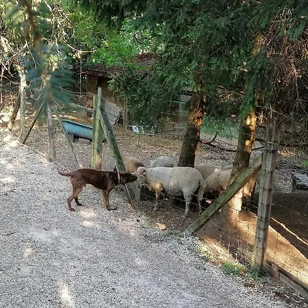 Prázdninový dům Parraghegy