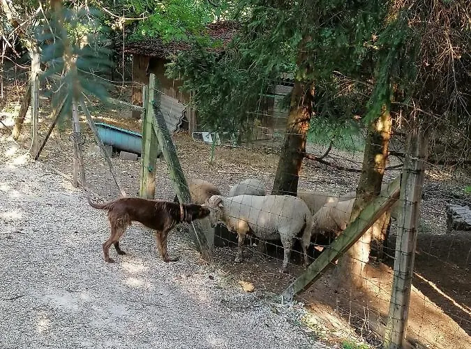 Holiday home Parraghegy Apartman