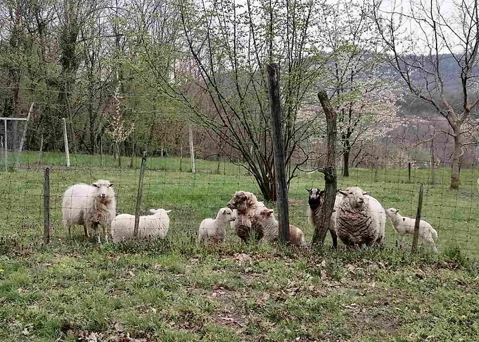 Holiday home Parraghegy Apartman